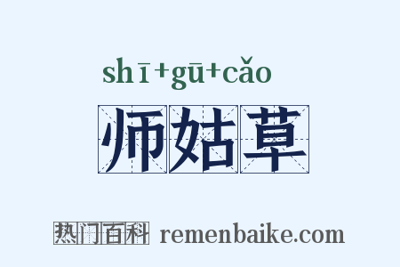 师姑草是什么意思的图片